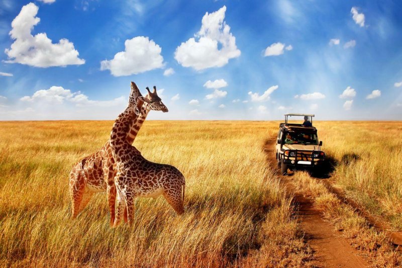 Serengeti szafari program pihenéssel Zanzibár szigetén - 2027. január
