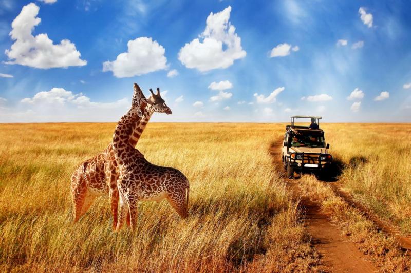 Serengeti szafari program pihenéssel Zanzibár szigetén - 2027. március