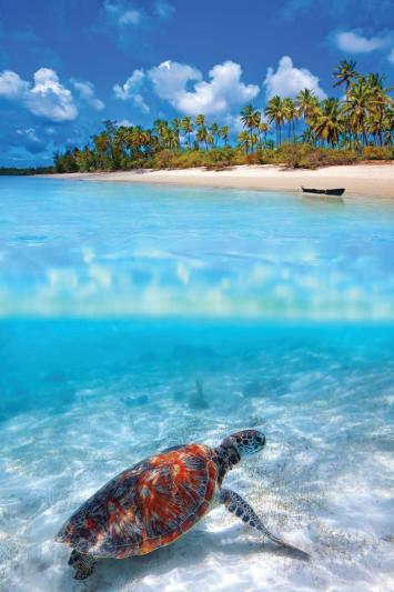 Serengeti szafari program pihenéssel Zanzibár szigetén - 2027. március