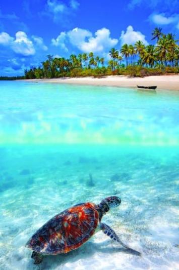 Serengeti szafari program pihenéssel Zanzibár szigetén