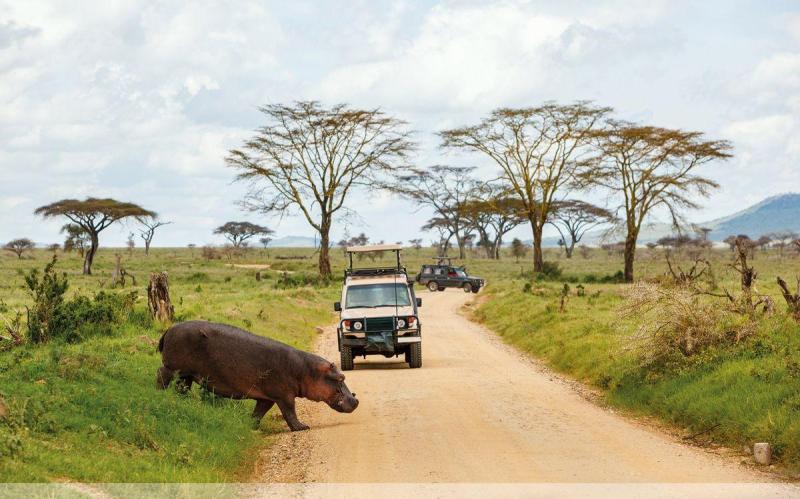 Serengeti szafari program pihenéssel Zanzibár szigetén