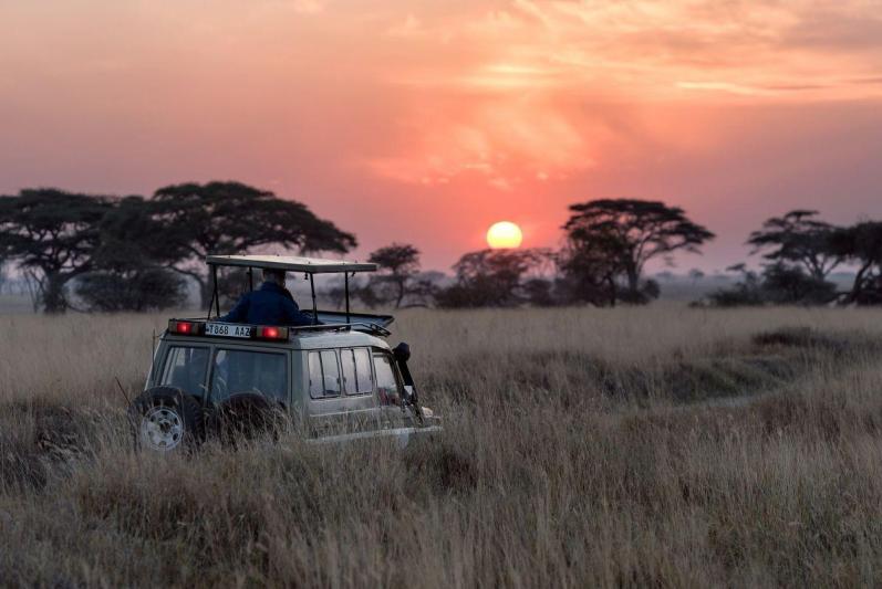 Serengeti szafari program pihenéssel Zanzibár szigetén