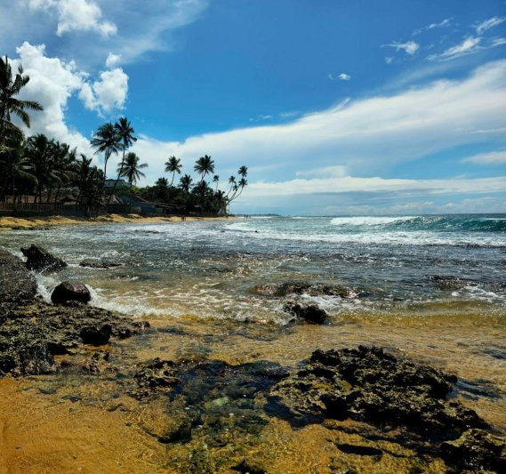 Srí Lanka - Ceylon aranya - őszi szünet a Smaragd-szigeten - kiscsoportos körutazás