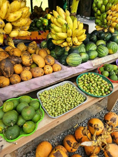 Srí Lanka - Ceylon aranya - őszi szünet a Smaragd-szigeten - kiscsoportos körutazás