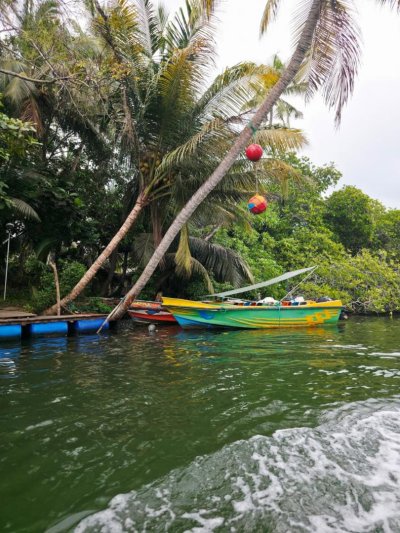 Srí Lanka csodái és maldív-szigeteki pihenés - kiscsoportos körutazás tengerparti pihenéssel