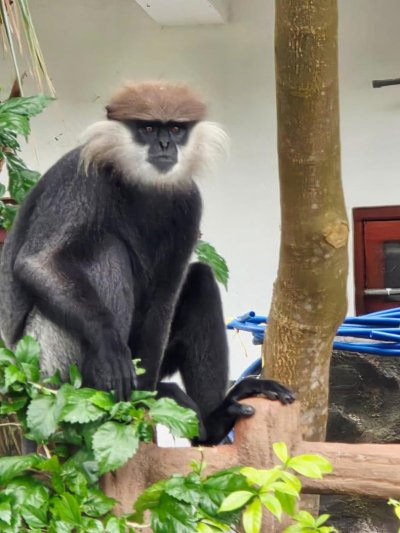 Srí Lanka csodái és maldív-szigeteki pihenés - kiscsoportos körutazás tengerparti pihenéssel