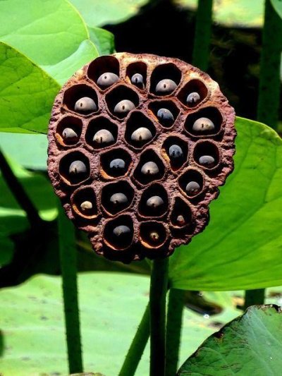 Szigetnézőben: Mauritius és Reunion, az Indiai-óceán gyöngyszemei