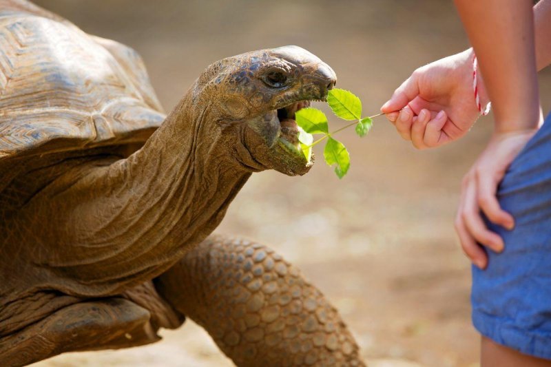 Szigetnézőben: Mauritius és Reunion, az Indiai-óceán gyöngyszemei