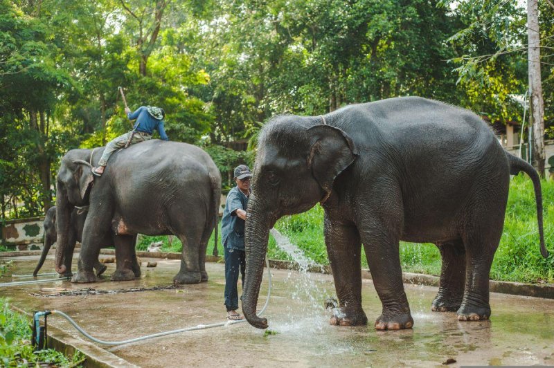 Szilveszteri barangolás Bangkok környékén, pihenéssel Krabi trópusi tengerpartján