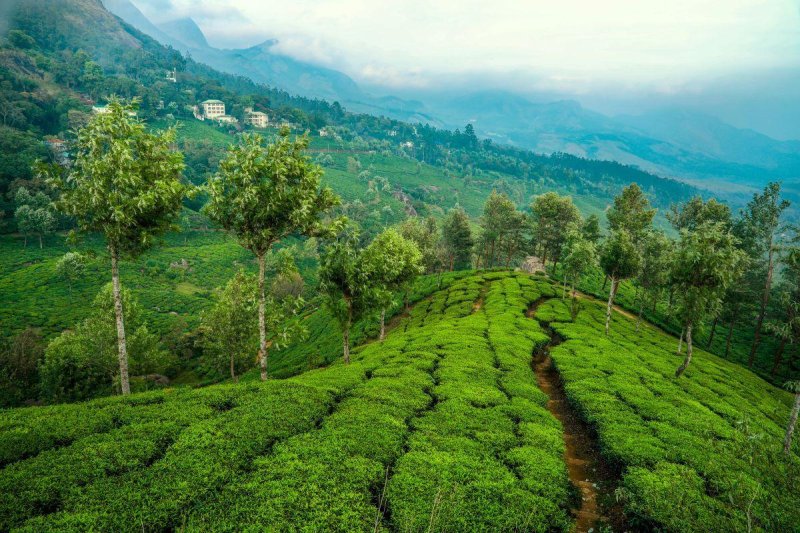 Természetes harmónia Keralában - jóga, nyugalom és új energiák