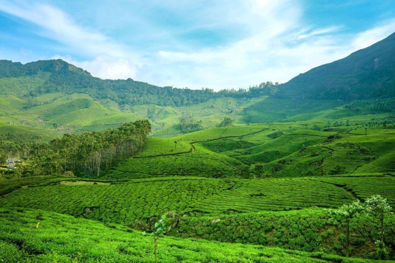 Természetes harmónia Keralában - jóga, nyugalom és új energiák