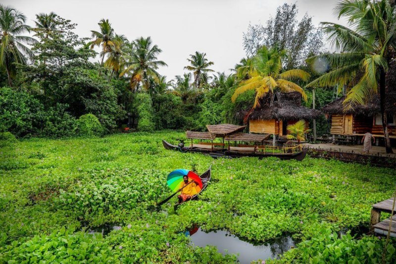Természetes harmónia Keralában - jóga, nyugalom és új energiák