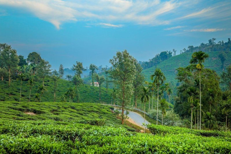 Természetes harmónia Keralában - jóga, nyugalom és új energiák