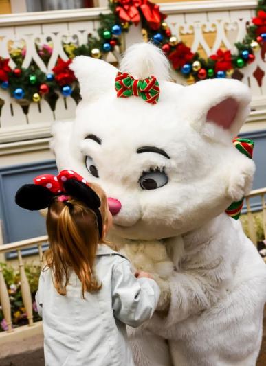Utazás Disneyland meseországba, párizsi városnézéssel