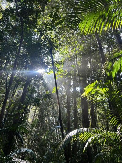 Vakáció Malajziában szingapúri kalandozással és tengerparti pihenéssel Tioman trópusi szigetén