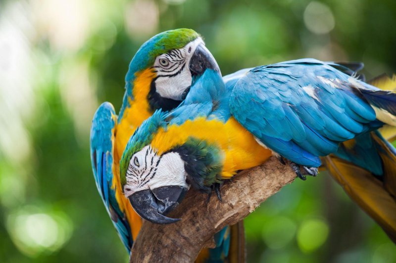 Varázslatos körutazás Panamában a tavaszi szünetben - csoportos körutazás tengerparti pihenéssel