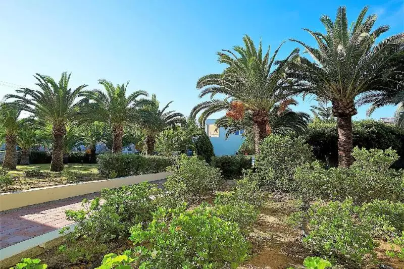 Eleftheria Hotel Kréta Agia Marina