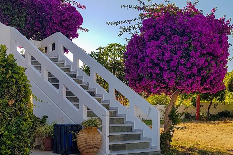 Kréta Agia Marina utazás Giannis Apartmanház