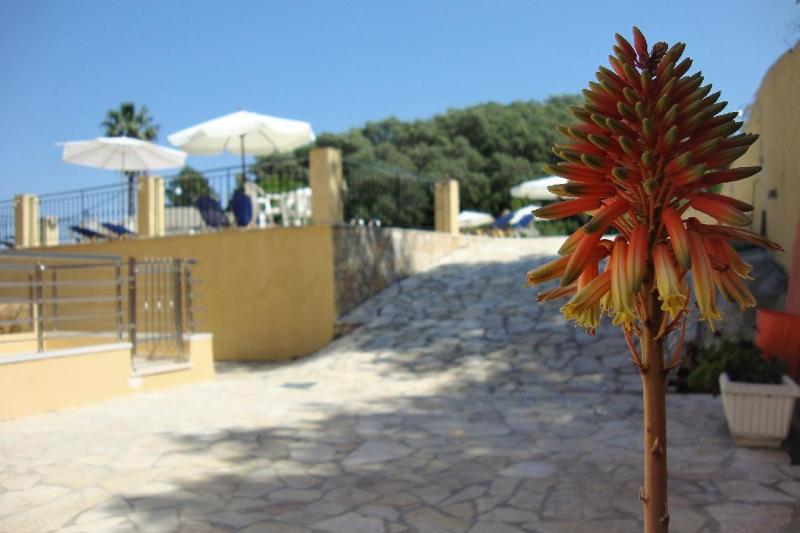 Korfu Messonghi utazás Ionian Eye Apartmanház (ex Jón tenger)