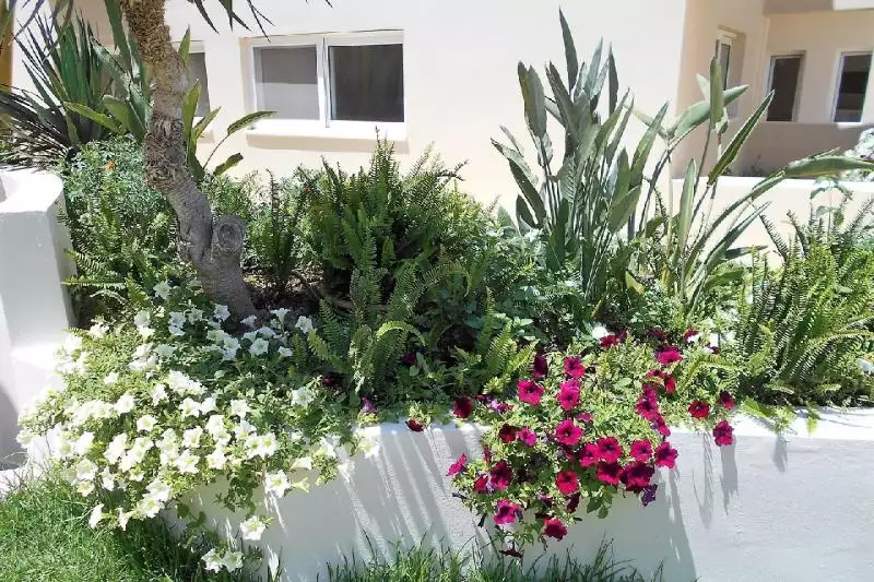 Toxo Hotel Kréta Platanias