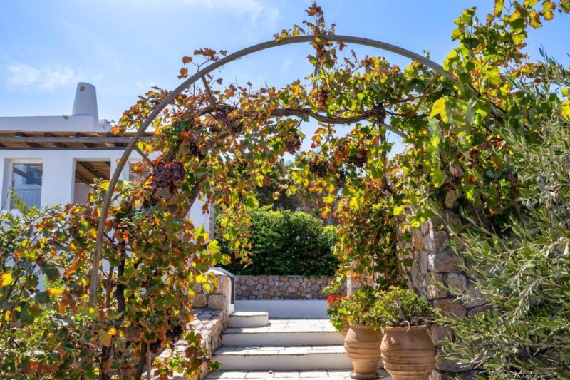 Szantorini Vourvoulos utazás Anema Hotel & Villas