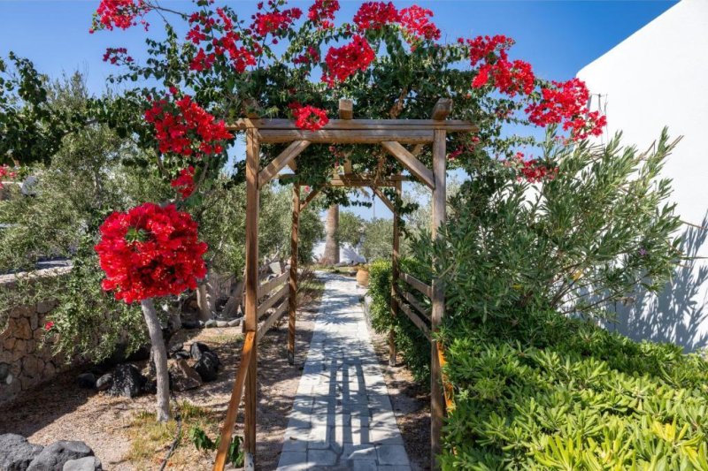 Anema Hotel & Villas Szantorini Vourvoulos