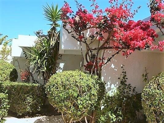 Rodosz utazás Blue Horizon Palm Beach Hotel