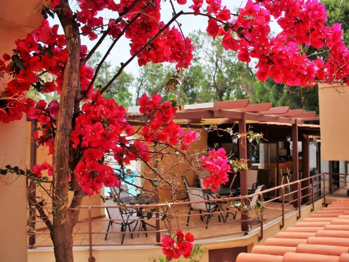 Dioni Hotel Kréta