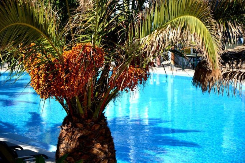 Zephyros Hotel Szantorini