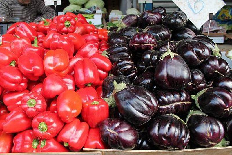 Izrael Mindenki - Félpanziós Ellátással, Gazdag Programmal!