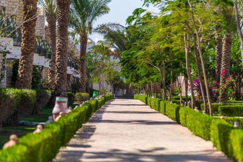 Aladdin Beach Resort Hurghada