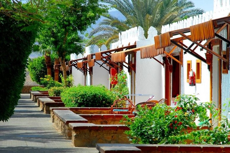 Sharm El-Sheikh utazás Albatros Sharm Resort