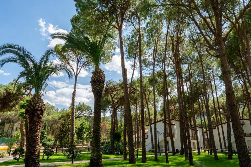 Kemer utazás Baia Salima Kemer