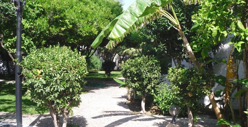 Rodosz utazás Oasis Bungalows