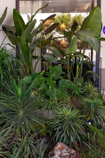 Antalya utazás Sherwood Premio Hotel (ex. Sherwood Prize)