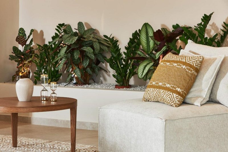 Kréta utazás Vasia Sea Retreat