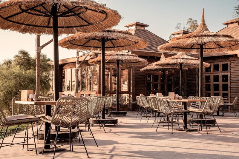 El Gouna utazás Cook's Club