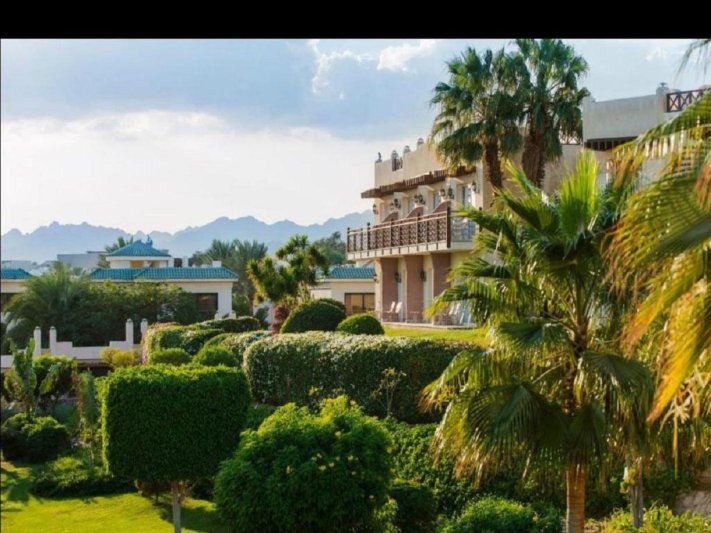 Cai Combo - Pyramids Resort Jaz + Concorde El Salam