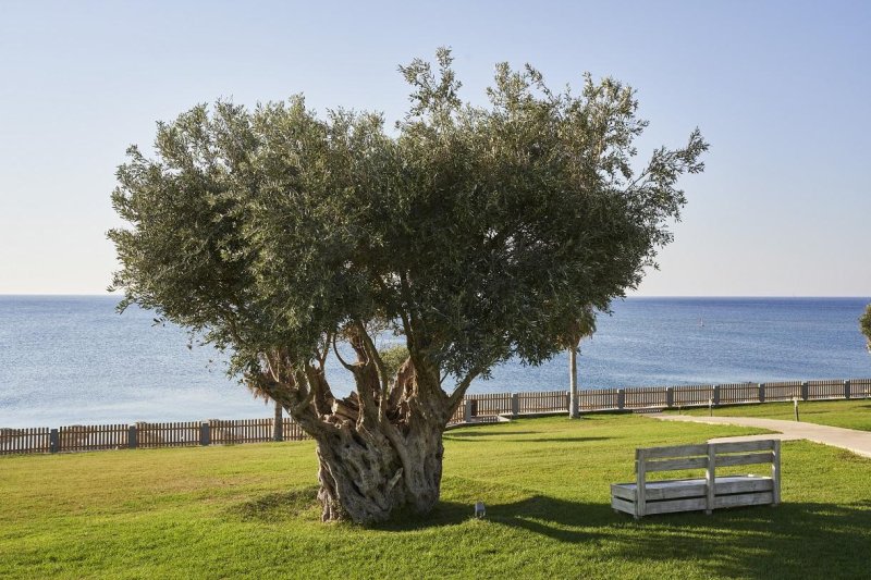 Kolymbia Beach Hotel By Atlantica Rodosz