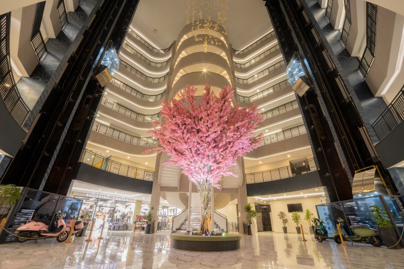 Side utazás Dream Water World