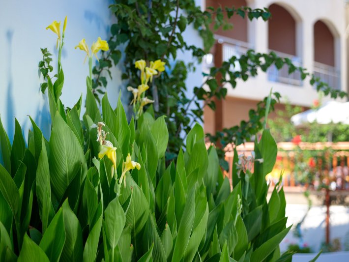 Kréta utazás Katrin Hotel & Bungalows