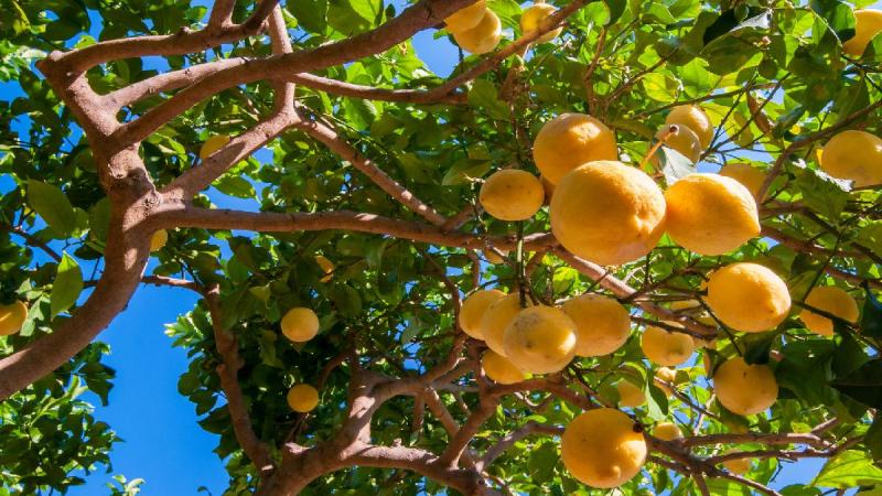 Az Ismeretlen Szicília - Csoportos Körutazás