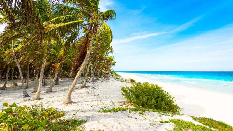 Nagy Körutazás Mexikóban, Cancúni Üdüléssel