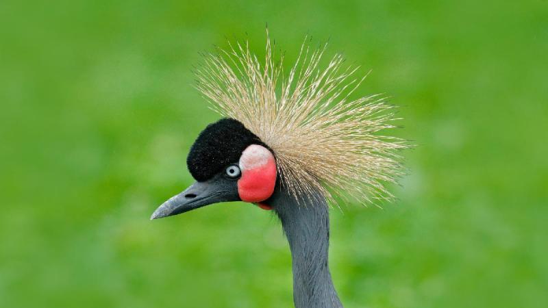 Tanzánia és Zanzibár - körutazás angol nyelvű idegenvezetéssel