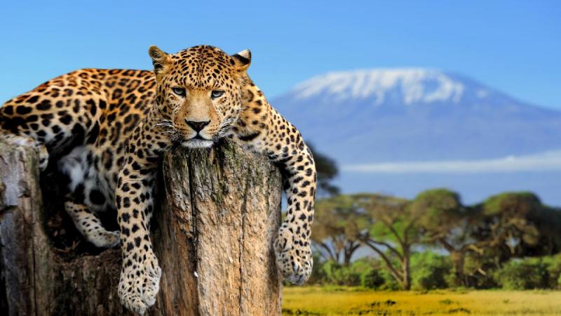 Tanzánia és Zanzibár - körutazás angol nyelvű idegenvezetéssel