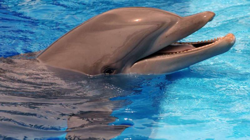 Usa - Kanada családi nyaralás