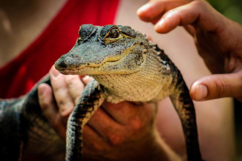 Usa - Kanada családi nyaralás