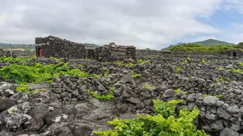 Sao Miguel Faial Pico Azori-szigetek