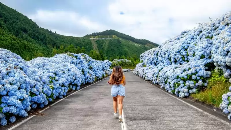 Sao Miguel Faial Pico Azori-szigetek