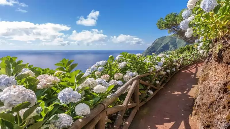 Sao Miguel Faial Pico Azori-szigetek